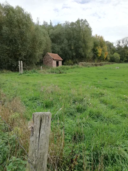 Galgebossen (Poperinge, Elverdinge, Vlamertinge) (Belgie)